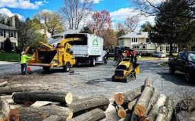 Best Sod Installation  in Maiden, NC